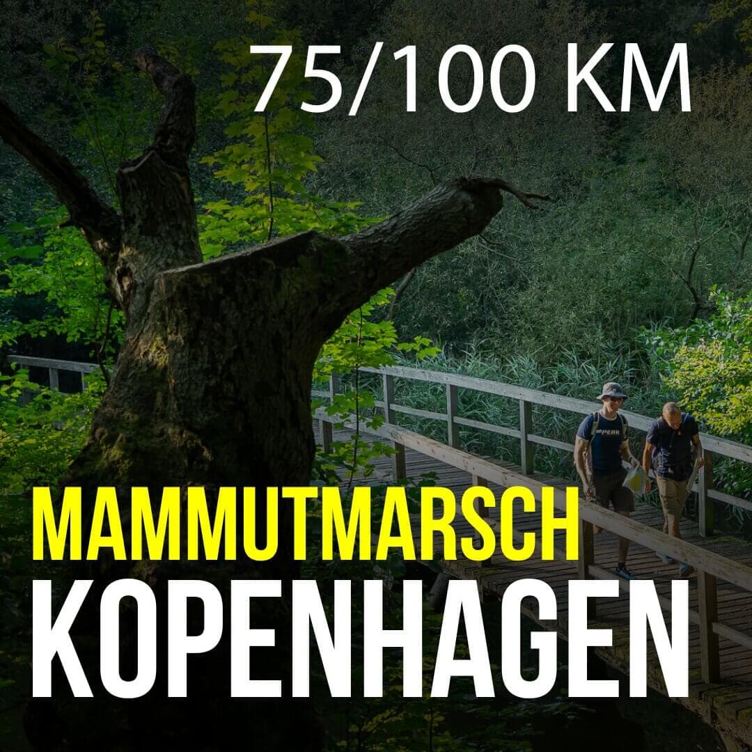 Mammutmarsch Kopenhagen - 75/100 KM