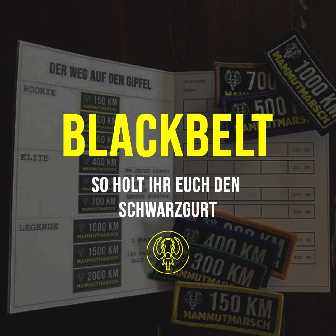 Blackbelt: So holt ihr euch den Schwarzgurt