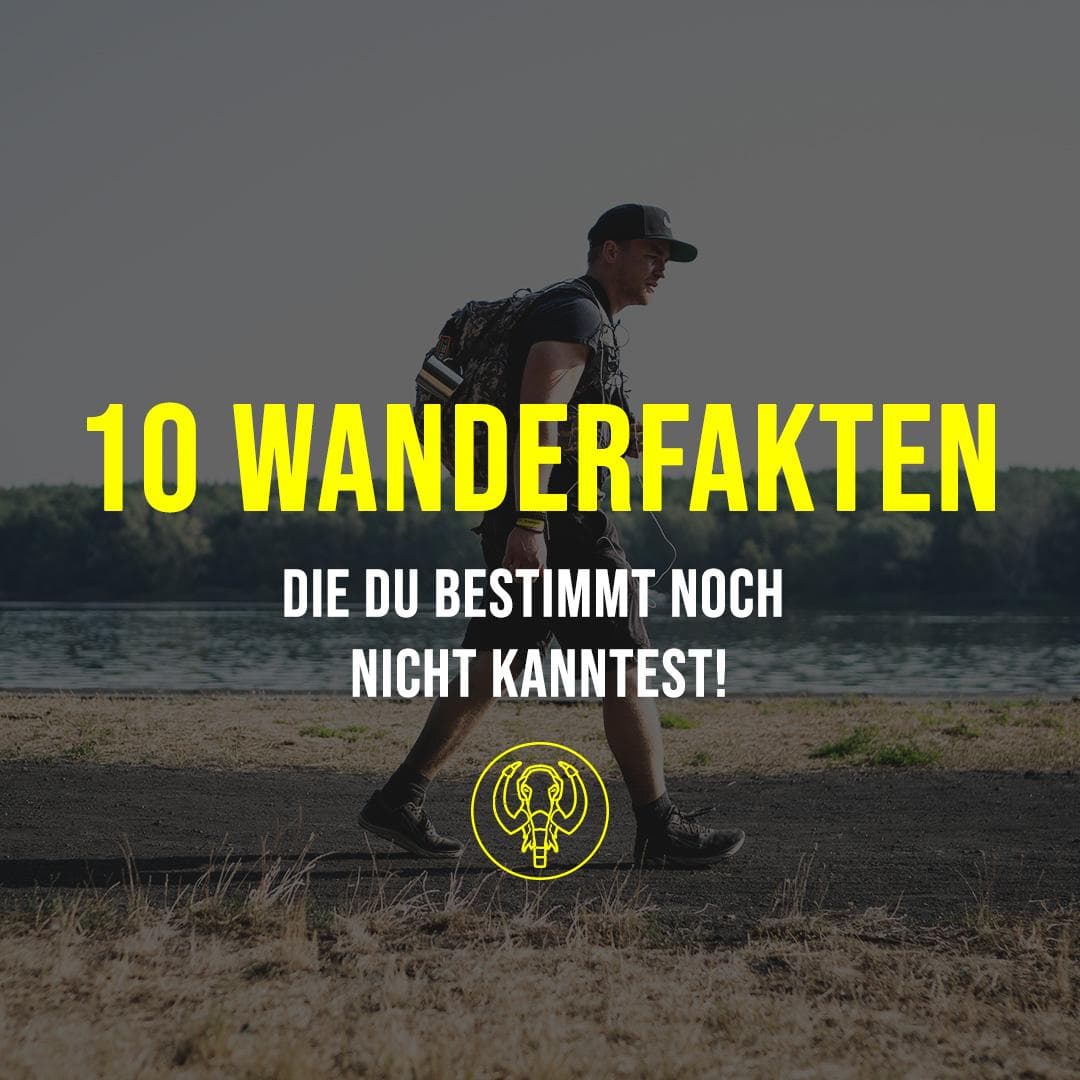 Von Indoor-Trails, Baumrinde und Instafame: 10 Wander-Fakten, die du bestimmt noch nicht kanntest