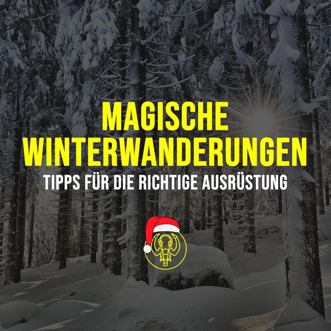 Winterwanderungen sind magisch – mit der richtigen Ausrüstung