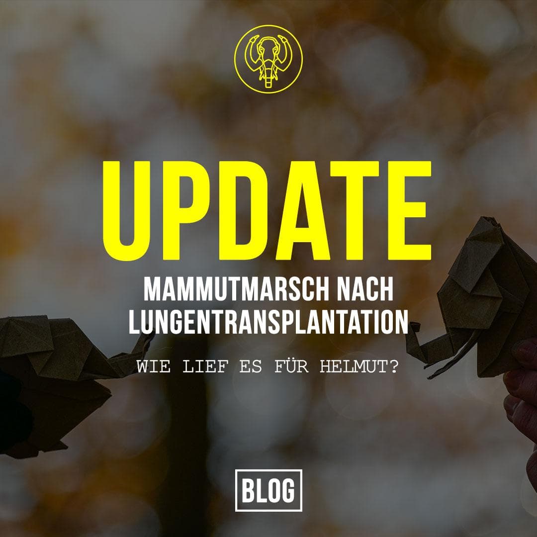 Update: Mammutmarsch nach Lungentransplantation – Wie lief es für Helmut?