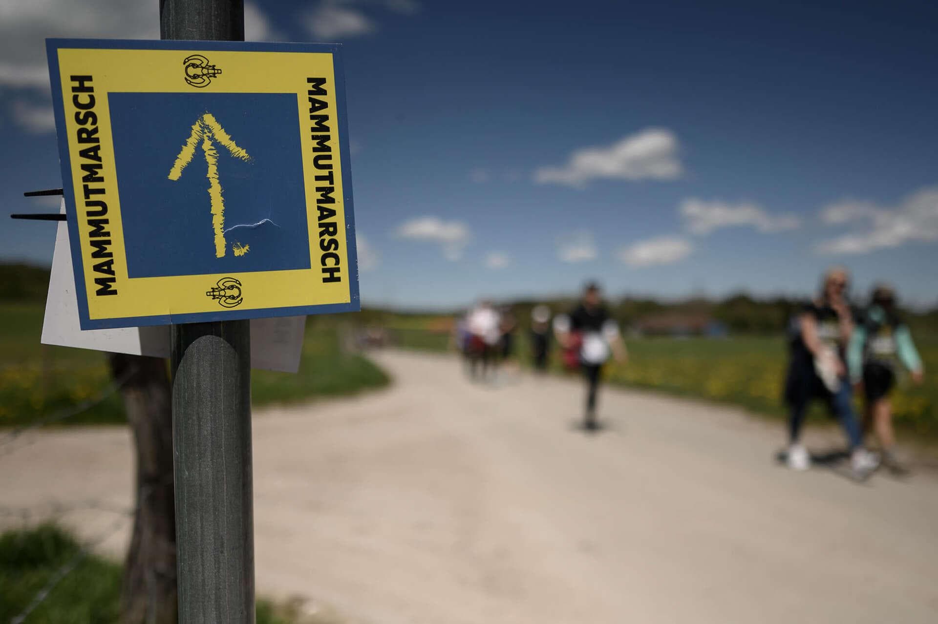 Untrainiert 20 km wandern: Geht das überhaupt?