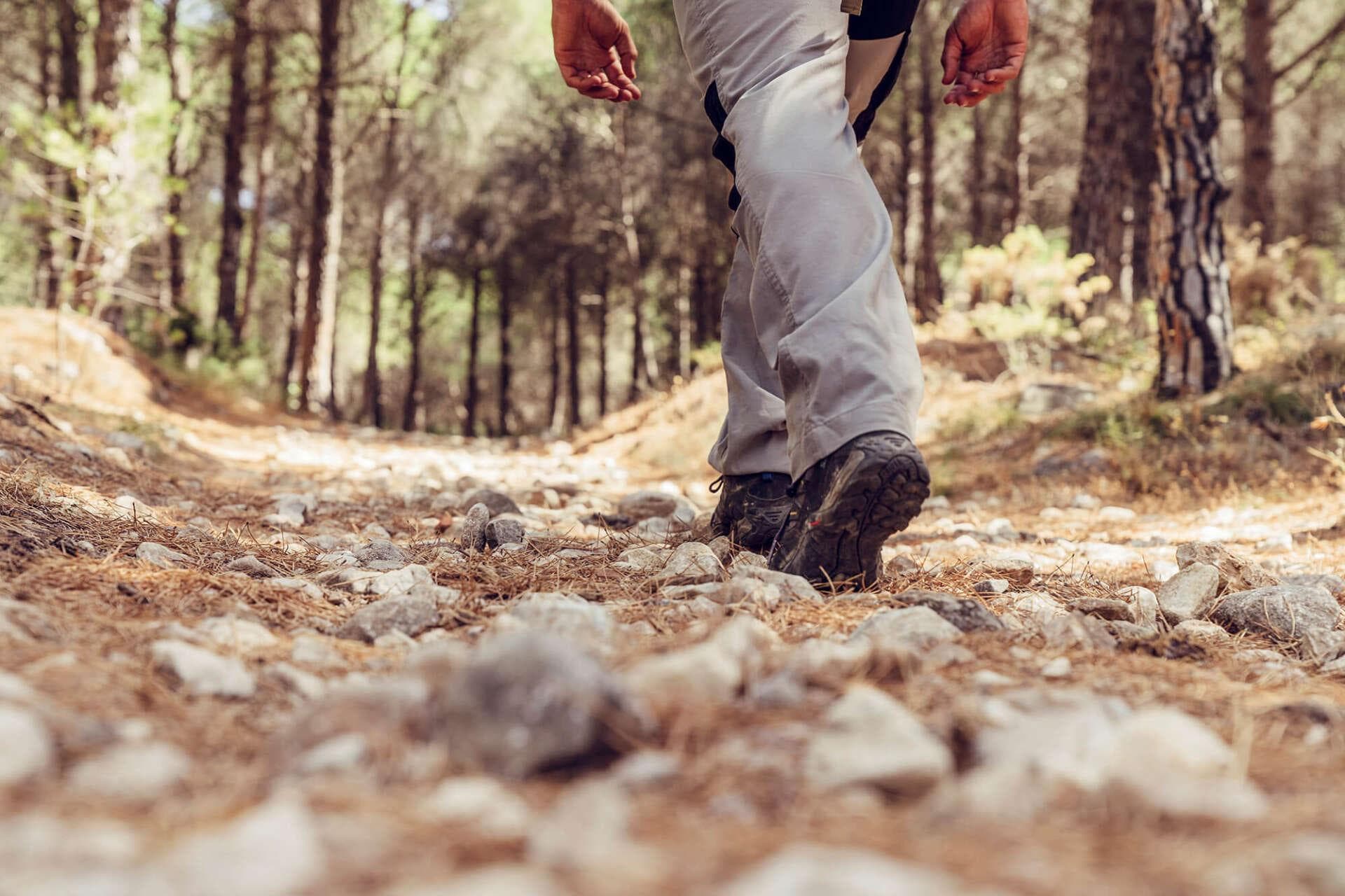 Wandern und Gesundheit: Warum jeder Schritt zählt