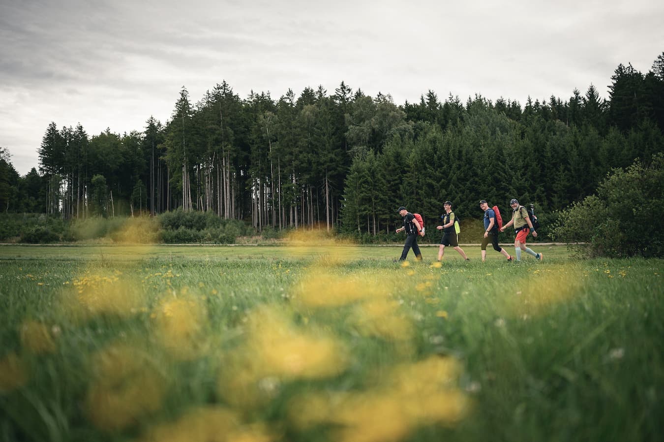 Wandern um München: 11 unvergessliche Wanderungen