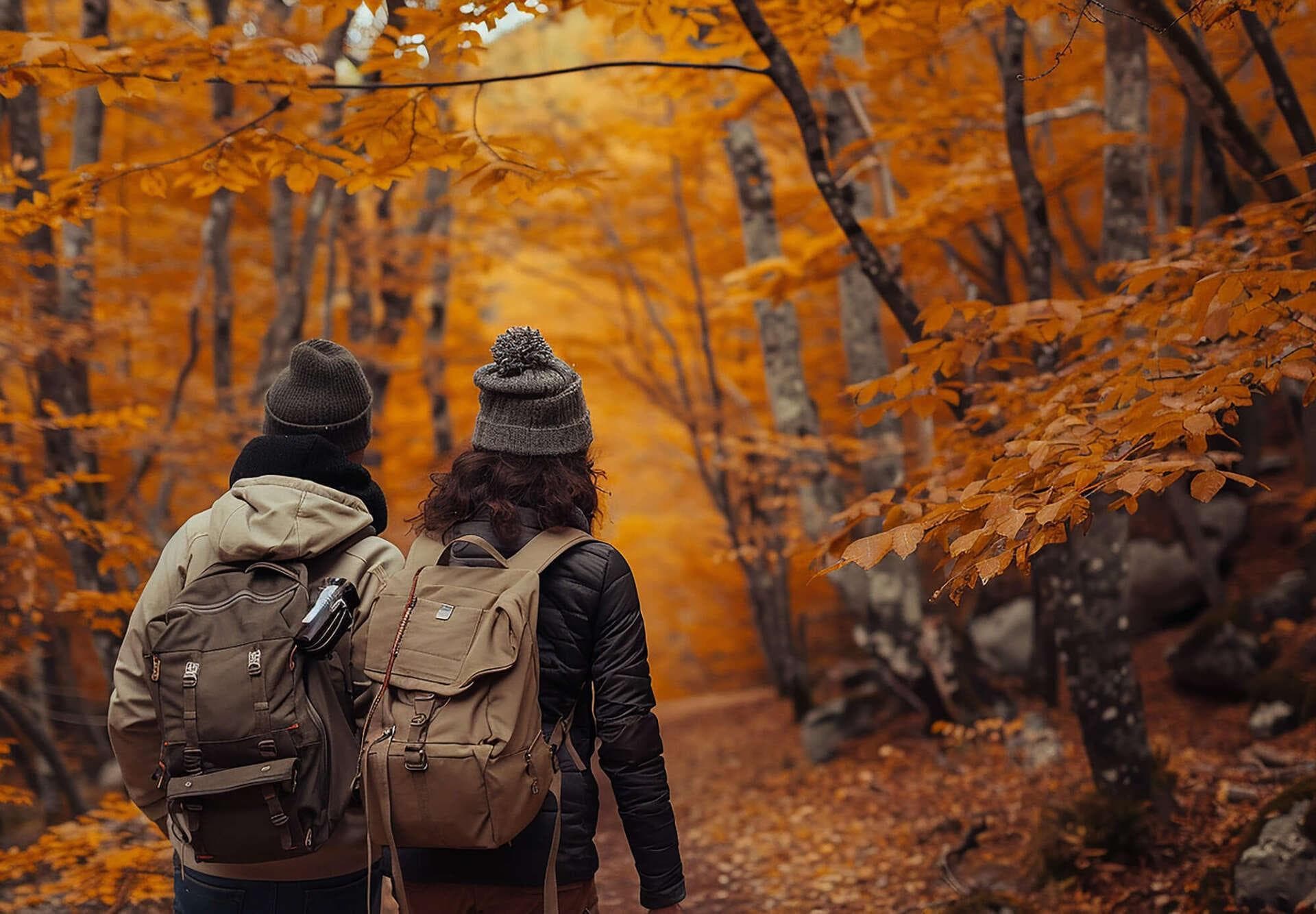 Wandern im Oktober: Tipps für goldene Herbsttouren