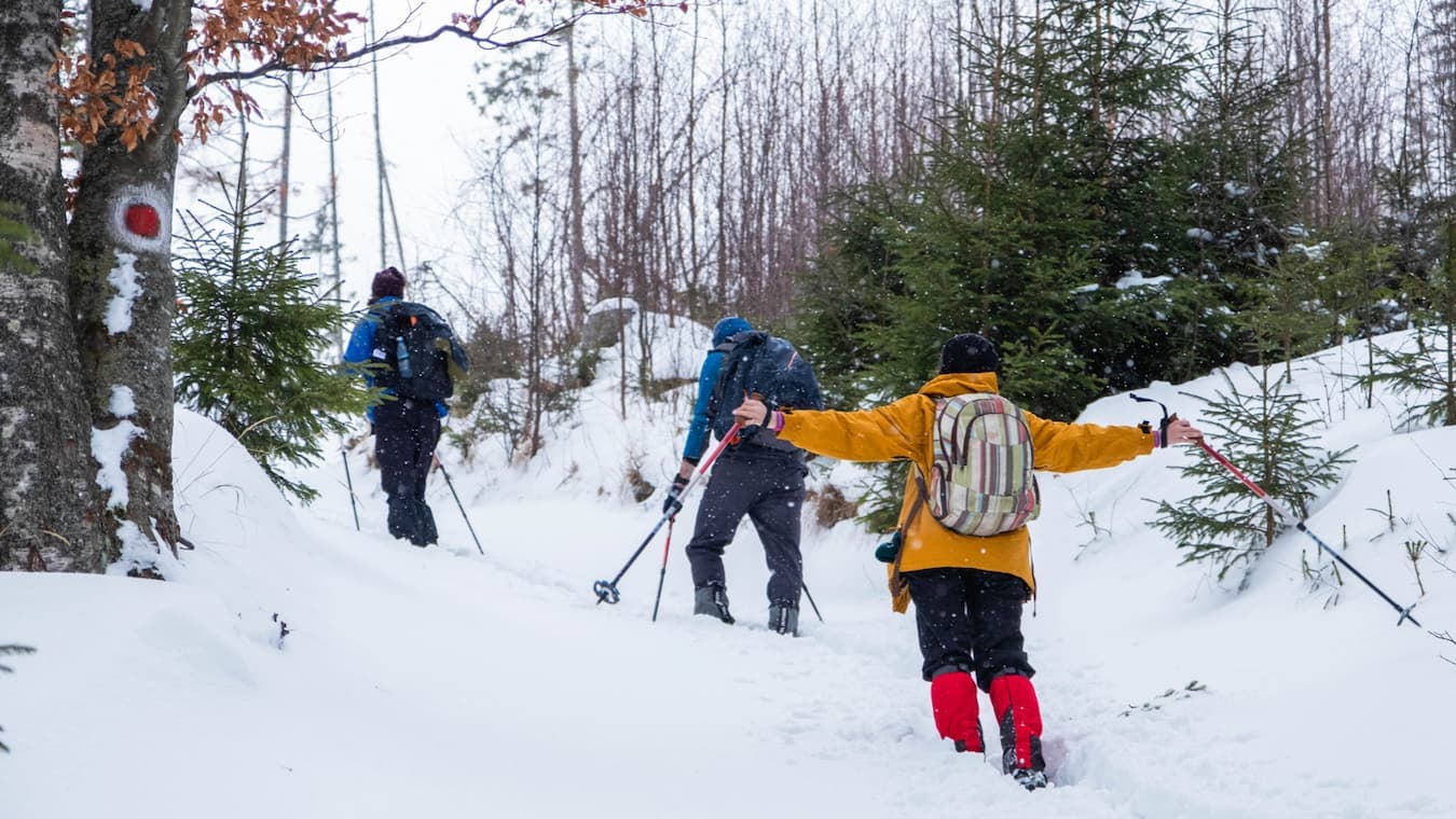 Schneeschuhwandern Bayerischer Wald: Unsere schönsten Touren und Tipps