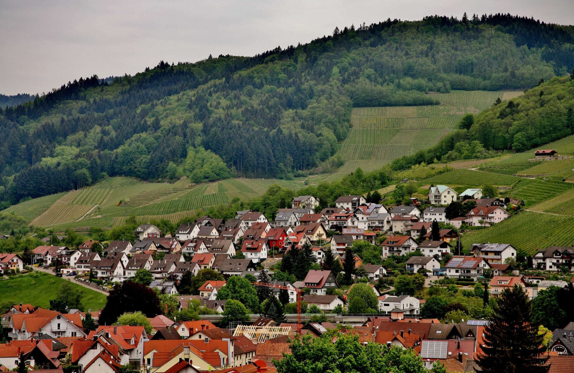 Wanderung in Baden-Württemberg: Die besten Routen