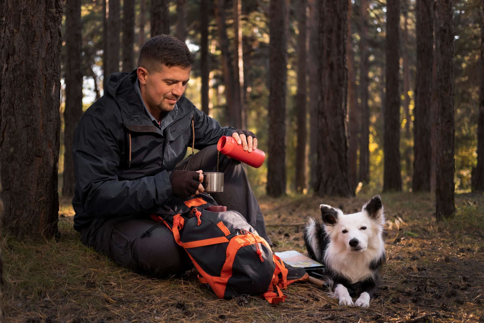 Wandern mit Hund: Ausrüstung und hundefreundliche Routen