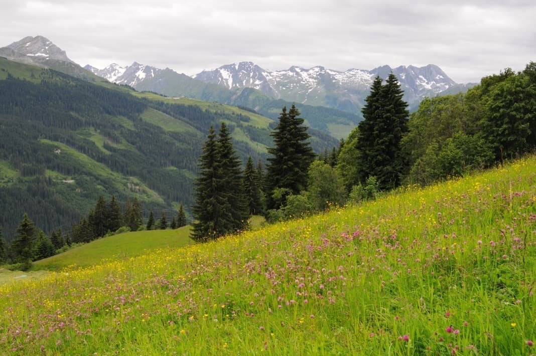 Wandern im Zillertal: Die besten Touren & Tipps für dein Bergabenteuer