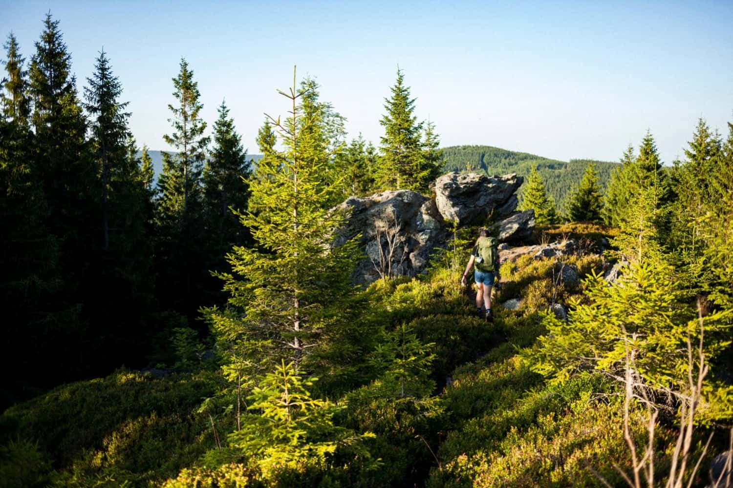 Wandergebiete in Deutschland: Die 16 besten Regionen für dein nächstes Abenteuer
