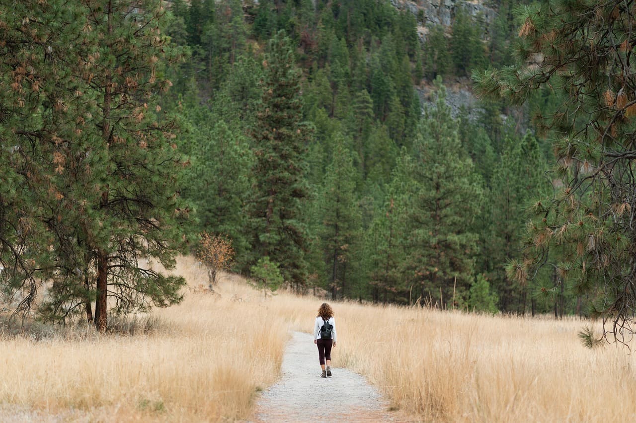 Flow-Erlebnis: Was es ist und wie du es beim Wandern erreichst