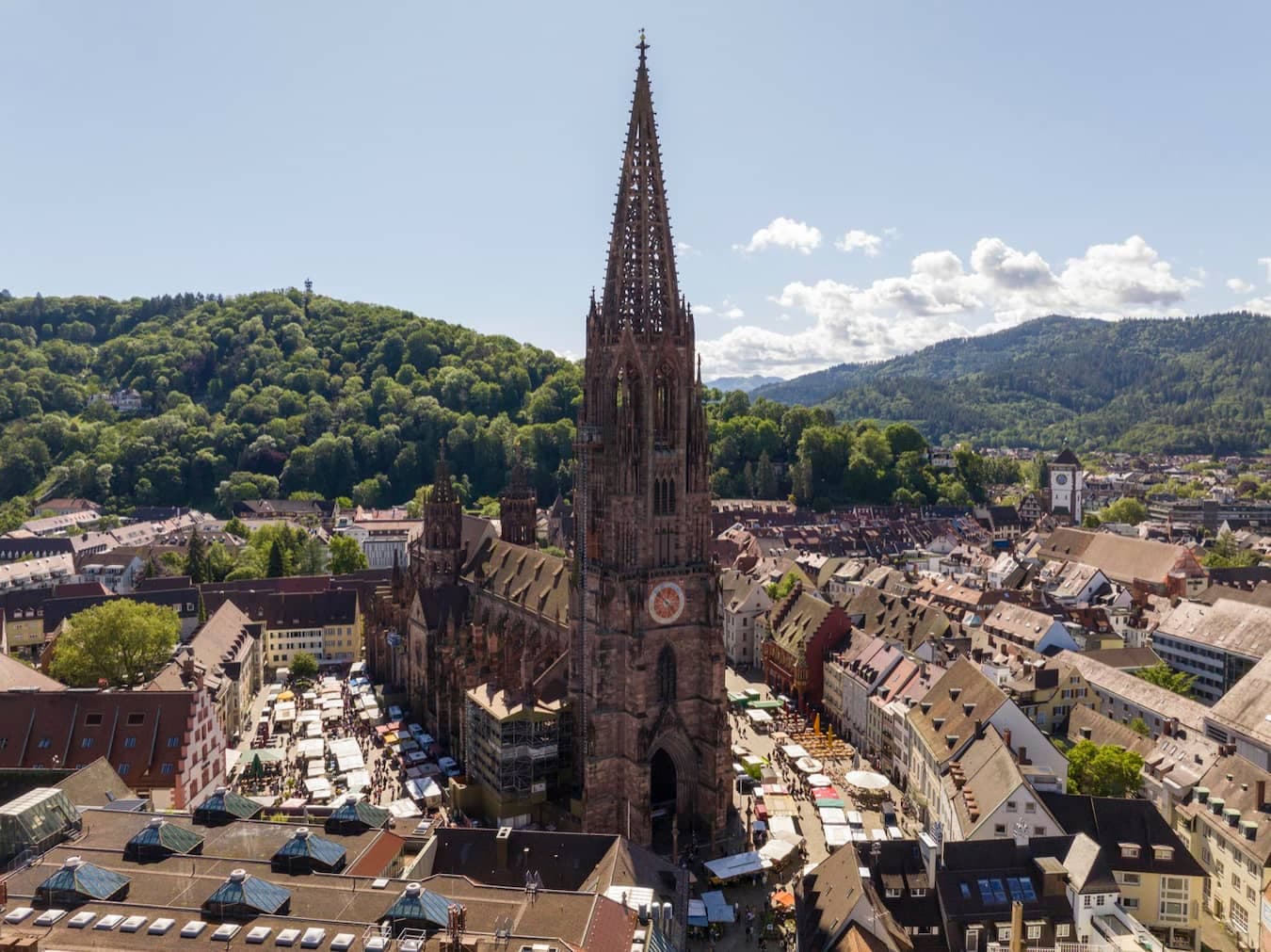 Wandern in und um Freiburg: Die schönsten Routen für dein nächstes Outdoor-Erlebnis