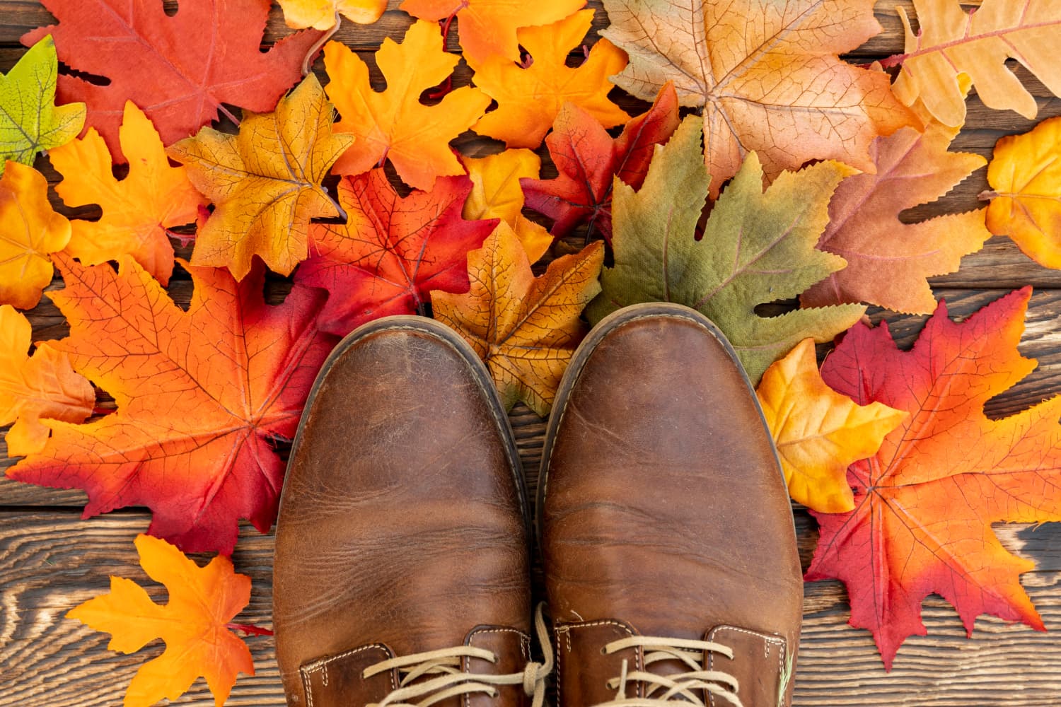 Wanderschuhe mit Leder – robust, langlebig und komfortabel unterwegs