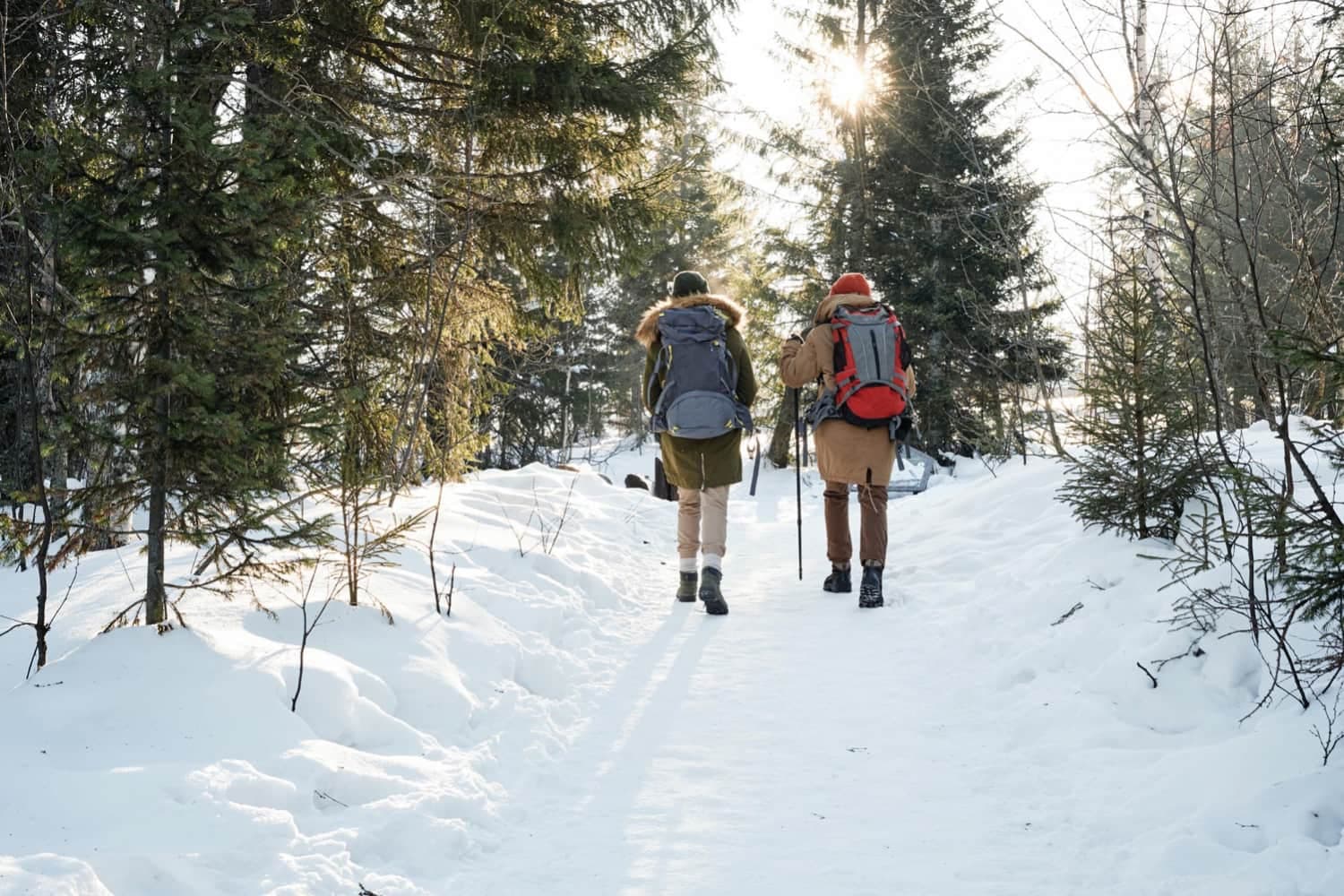 Winterwandern im Kleinwalsertal: Die 7 schönsten Touren für Schnee, Stille & Weitblick