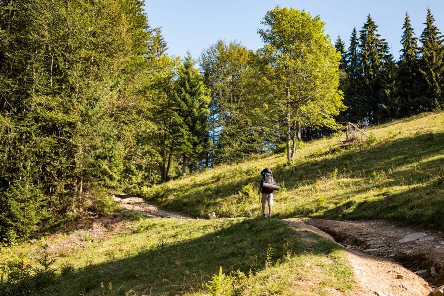 Wandern im Schwarzwald: Die besten Tipps für den Westweg