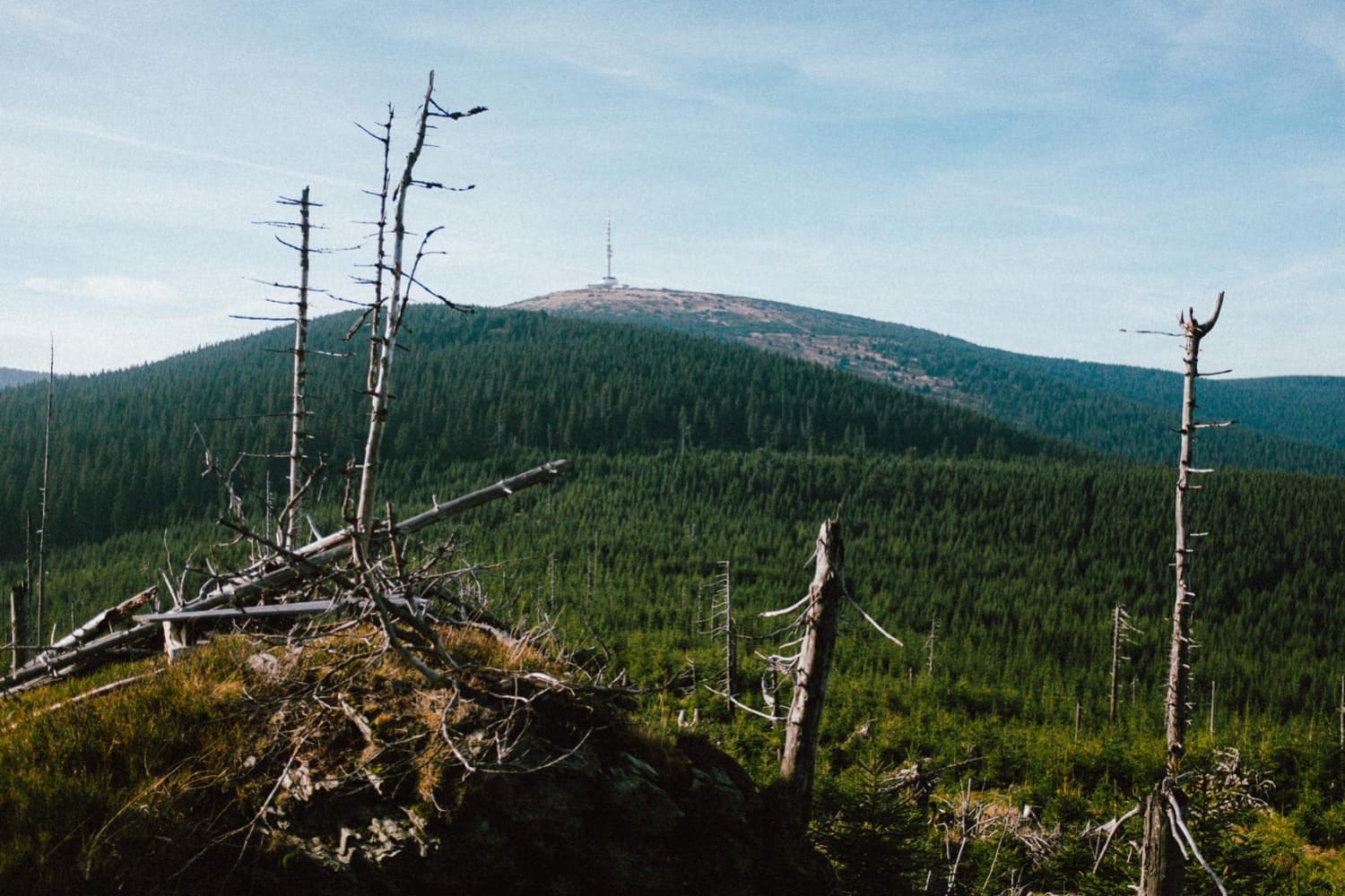 Die schönsten Wanderwege rund um Wernigerode