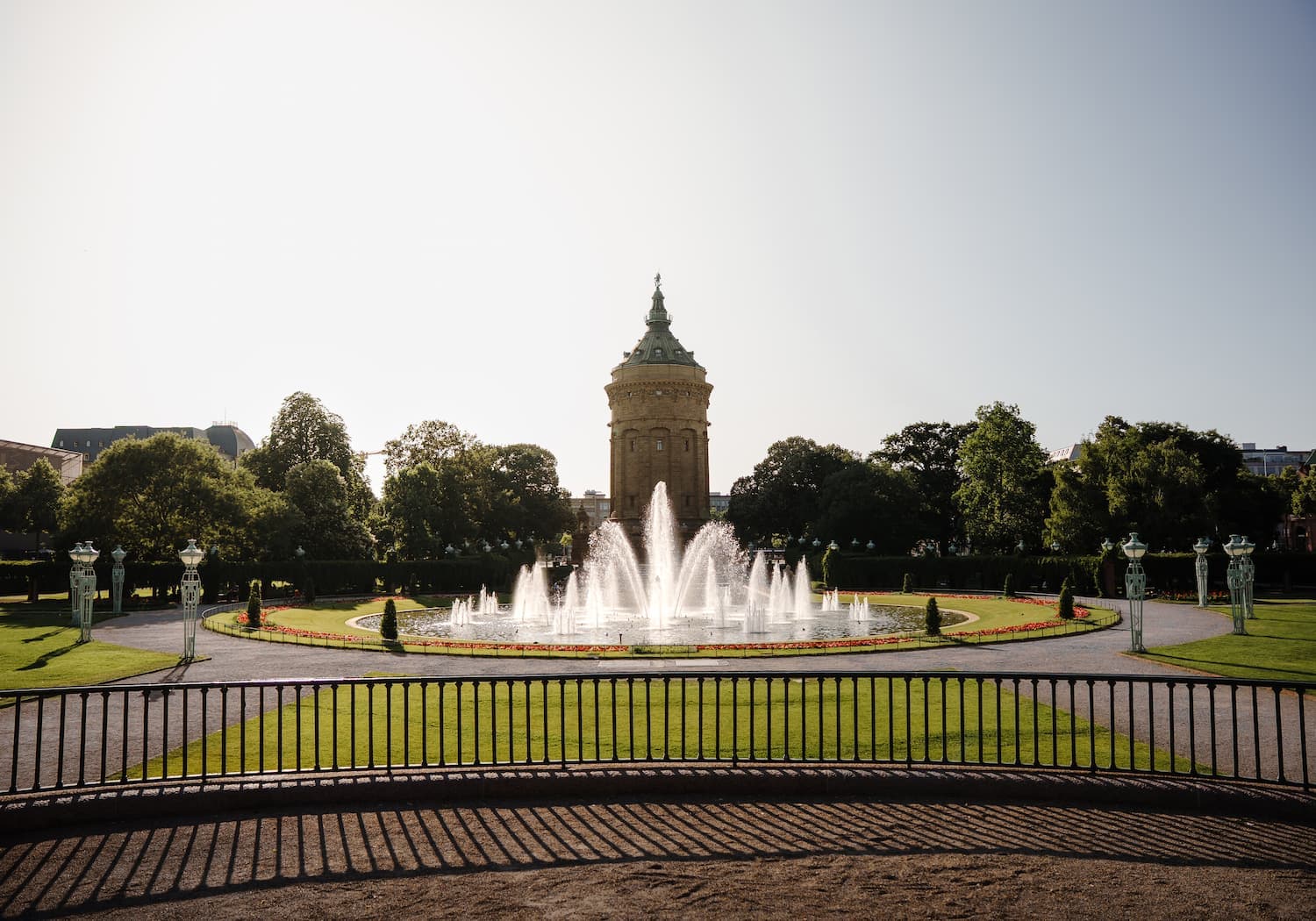Die Top 5 Wanderwege rund um Mannheim