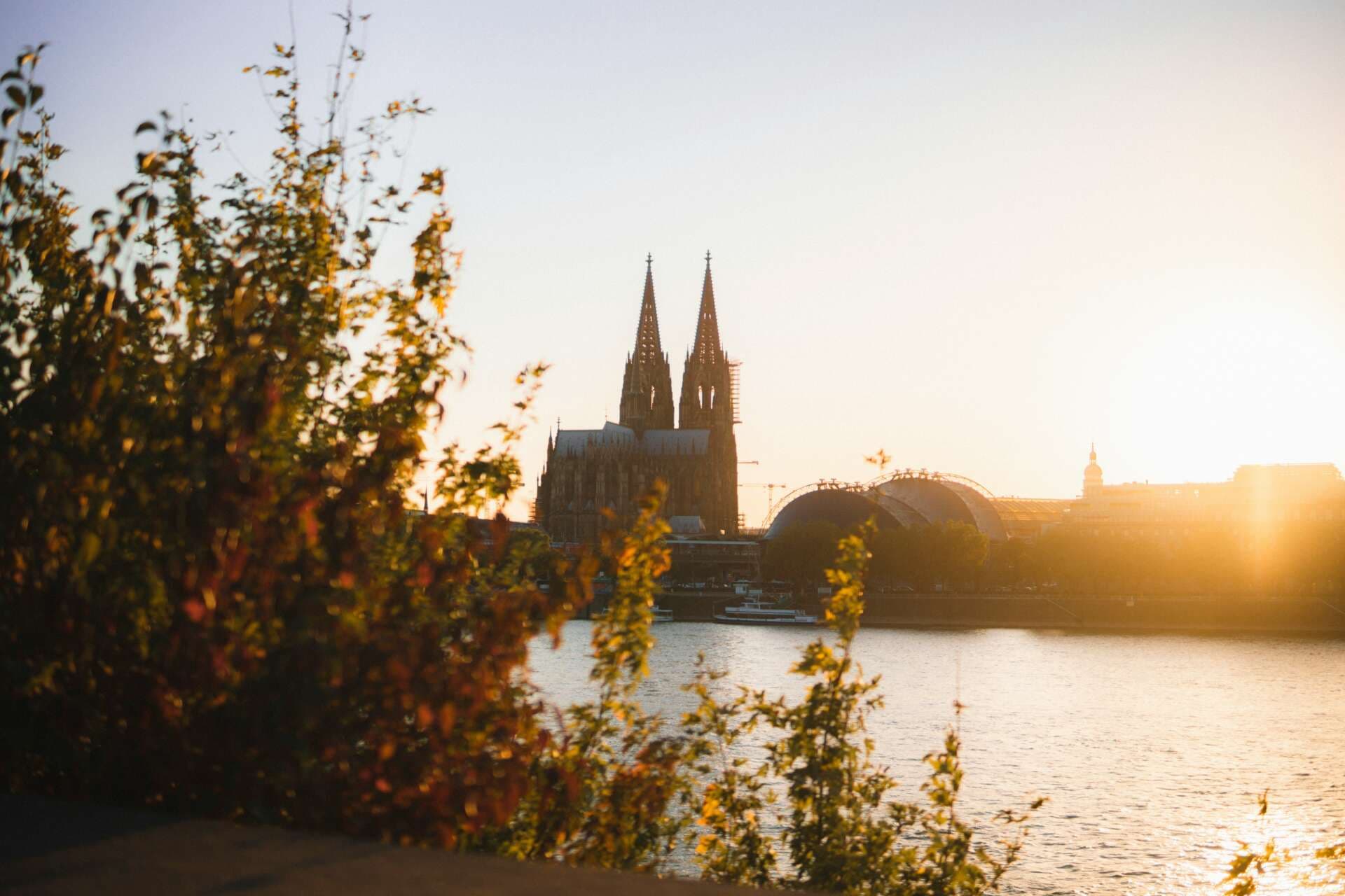 Wandern rund um Köln: Die schönsten Touren